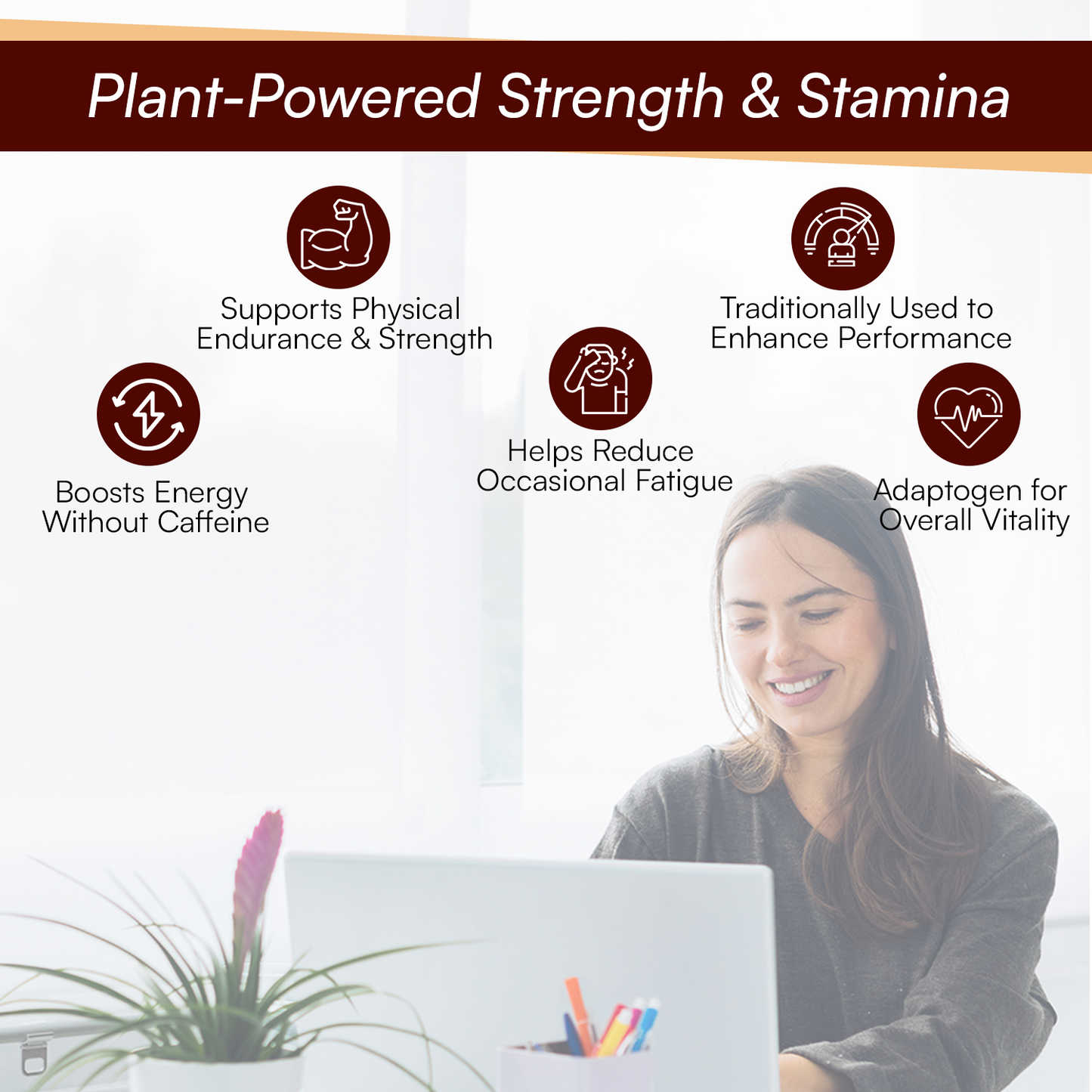 Hans Pharma Ashwagandha Tablets 500mg – Natural Stress Relief & Energy Booster – 120 Tablets