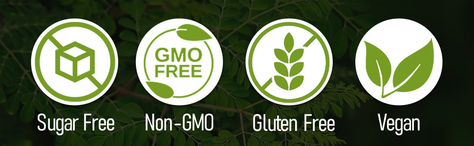 Hans Pharma Moringa Tablets – Natural Superfood for Energy, Immunity & Detox | 500mg | 120 Tablets