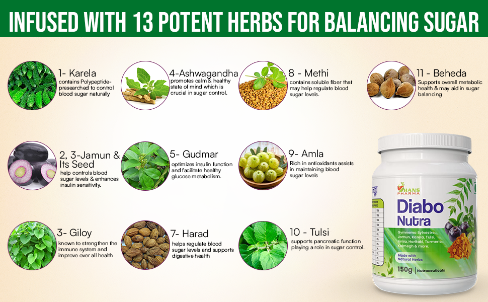 Hans Pharma Diabo Nutra Powder | Natural Diabetes Care Supplement | Supports Blood Sugar Balance | 100% Herbal | 150g